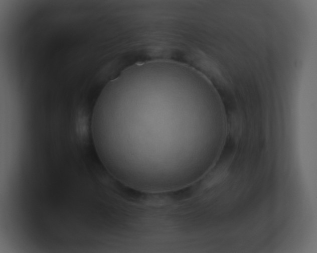 X0000101421154200807071310