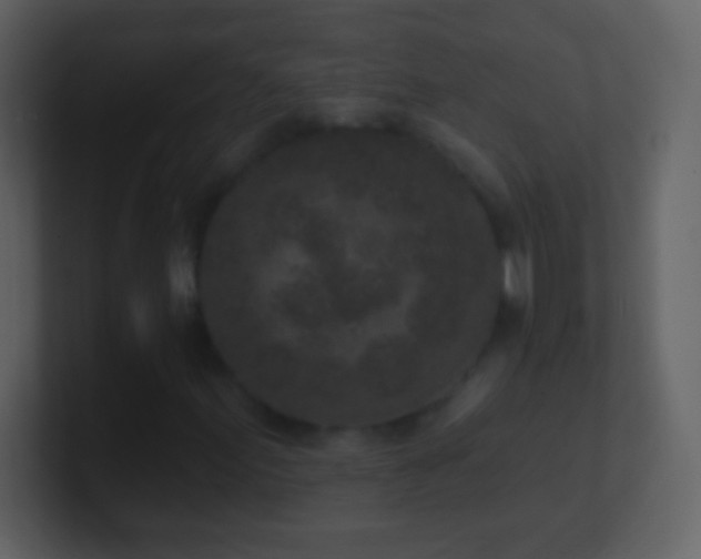 X0000101421155200807071310