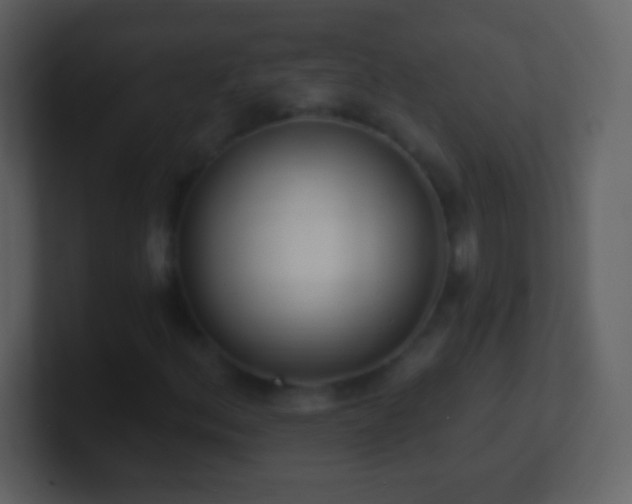X0000101421156200807071310