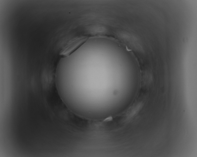 X0000101421157200807071310