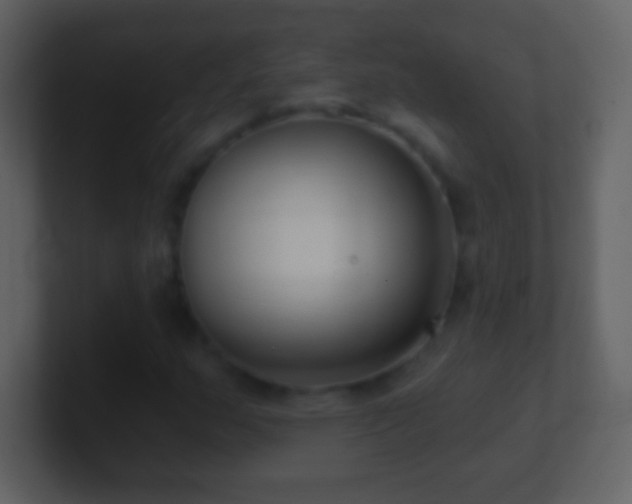 X0000101421159200807071310
