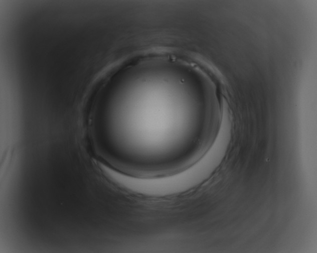 X0000101421160200807071310
