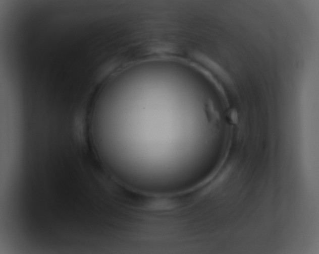 X0000101421162200807071310