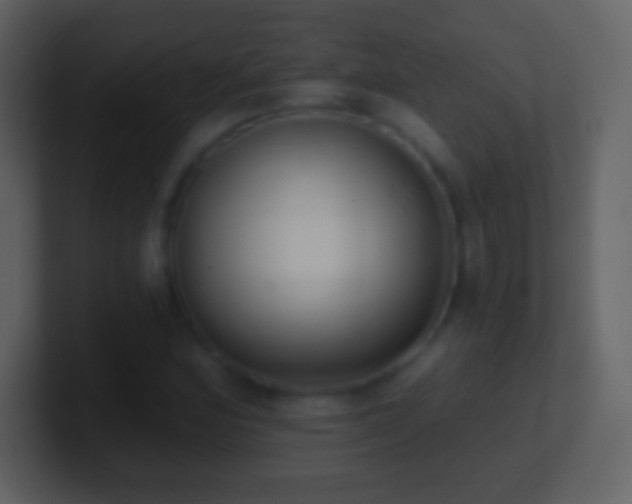 X0000101421164200807071309