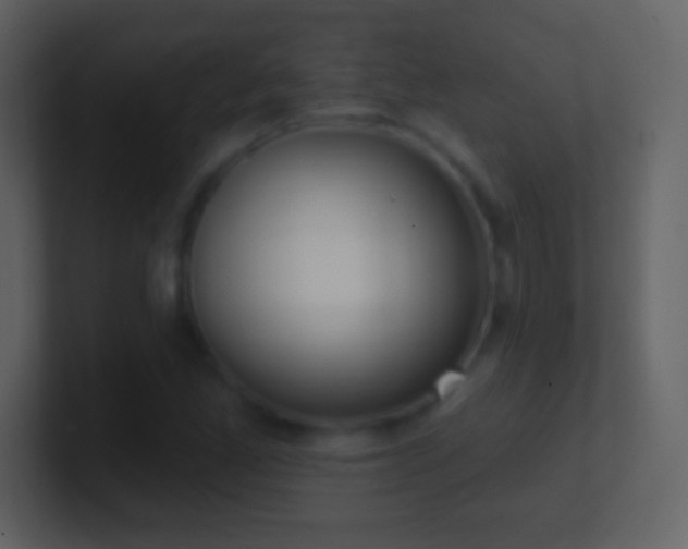X0000101421165200807071309