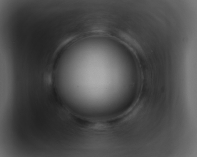X0000101421166200807071309