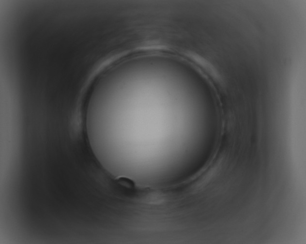 X0000101421167200807071309