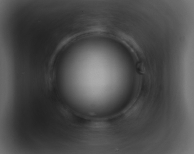 X0000101421168200807071309