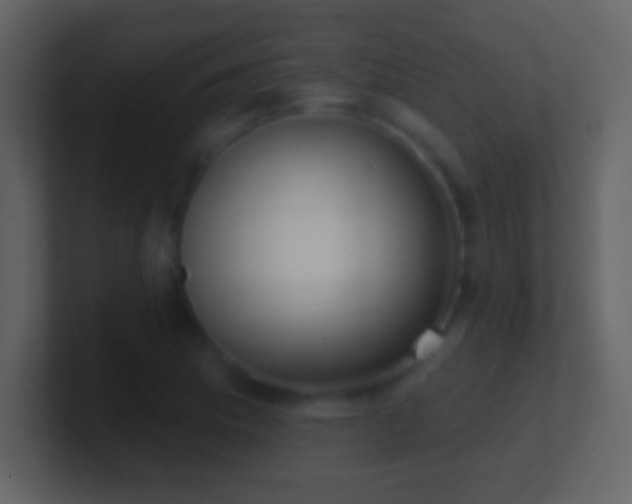 X0000101421169200807071309