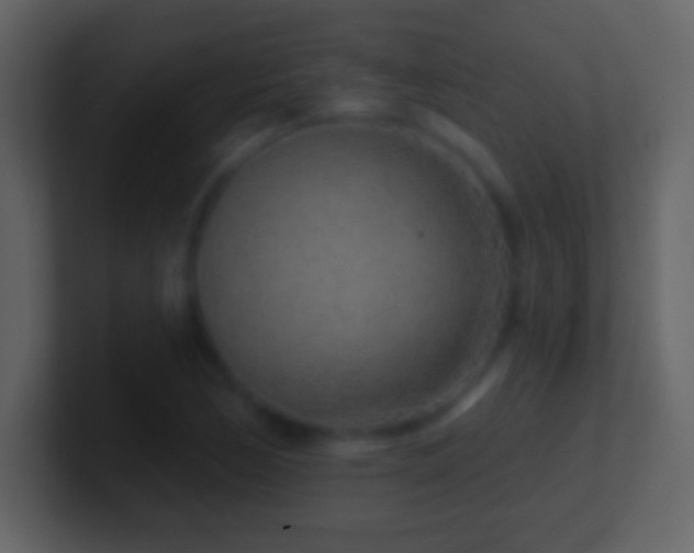 X0000101421170200807071309