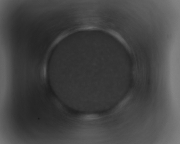 X0000101421173200807071309