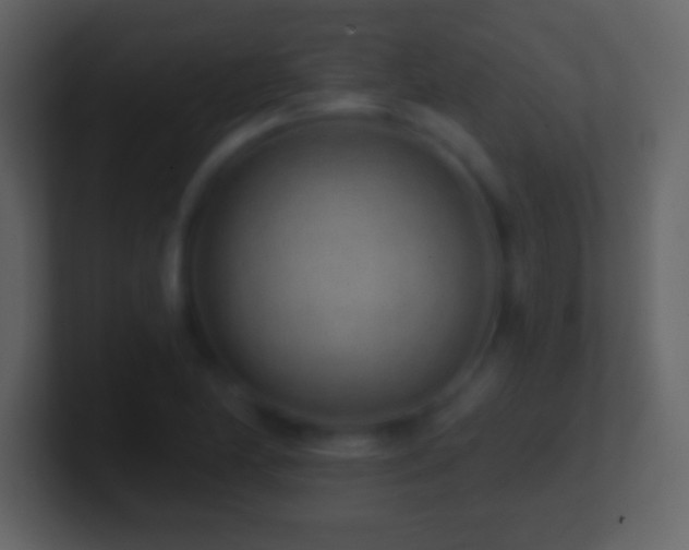 X0000101421174200807071309
