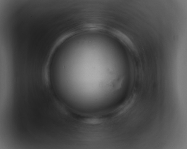 X0000101421182200807071309