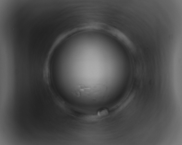 X0000101421184200807071309