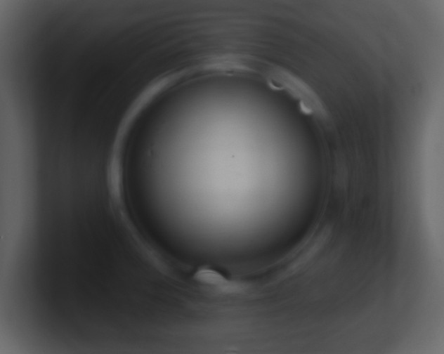 X0000101421188200807071309