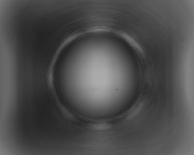 X0000101421189200807071309