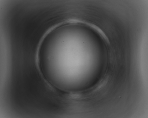 X0000101421191200807071309