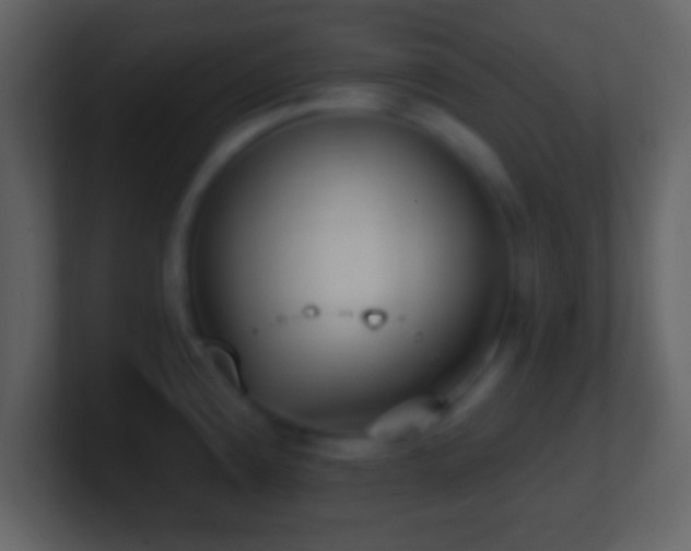 X0000101421192200807071309