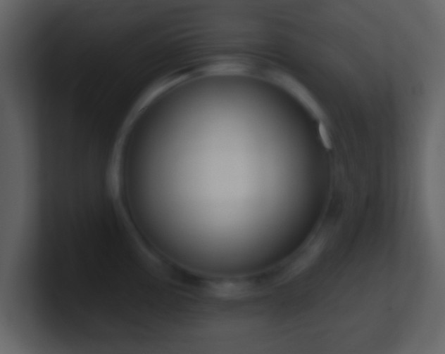 X0000101421195200807071309