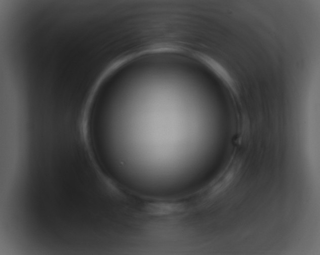 X0000101421197200807071309