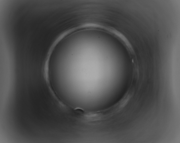 X0000101421199200807071309
