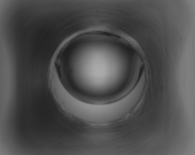 X0000101421200200807071309
