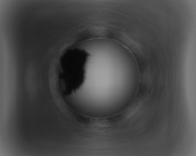 X0000101421201200807071308