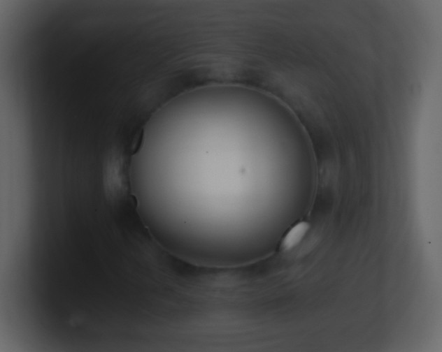 X0000101421202200807071308