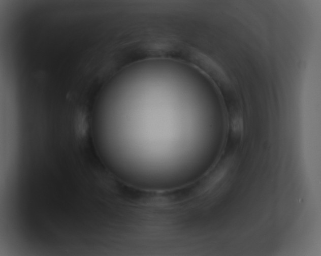 X0000101421204200807071308
