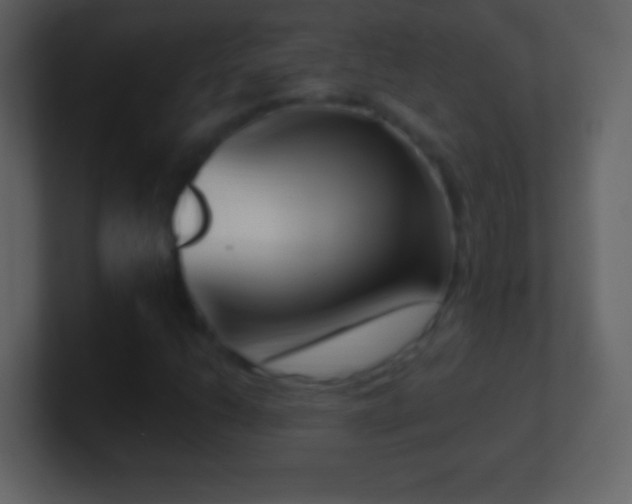 X0000101421206200807071308