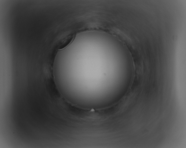 X0000101421207200807071308