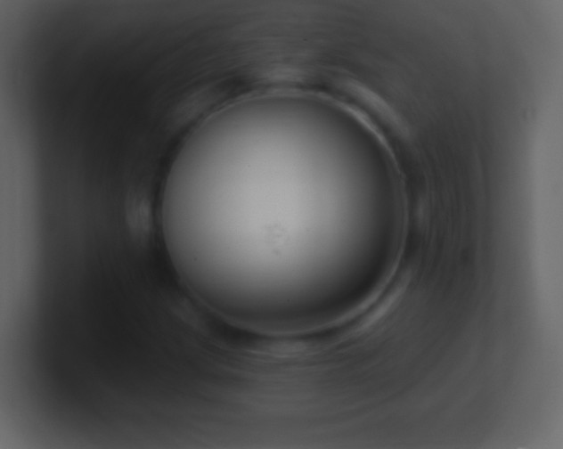 X0000101421209200807071308