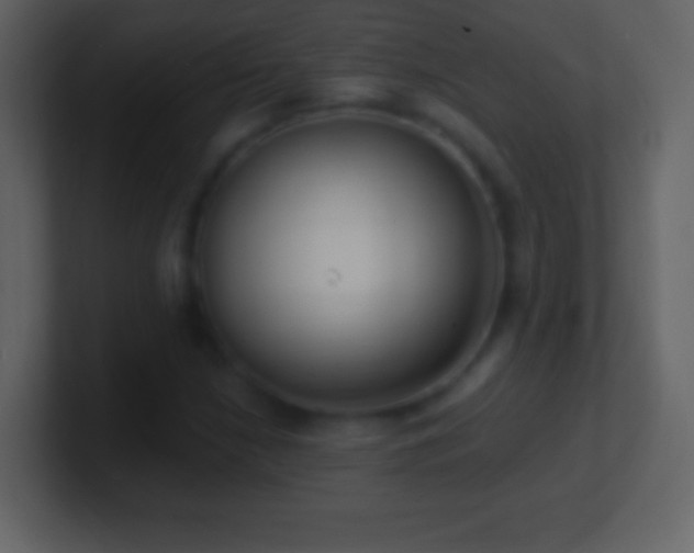 X0000101421210200807071308
