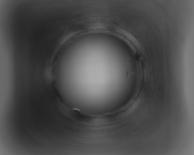 X0000101421212200807071309