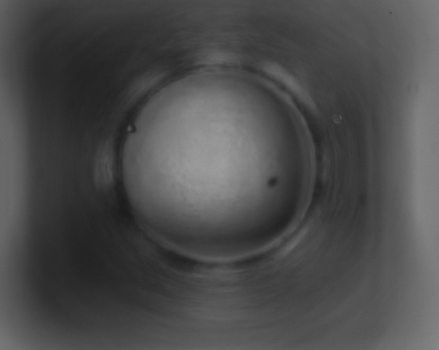 X0000101421213200807071309