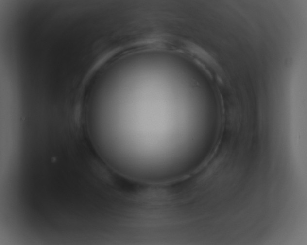 X0000101421216200807071309