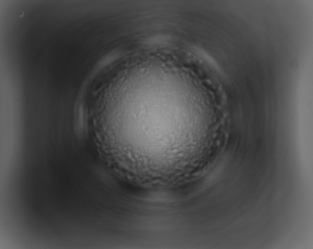 X0000101421219200807071309