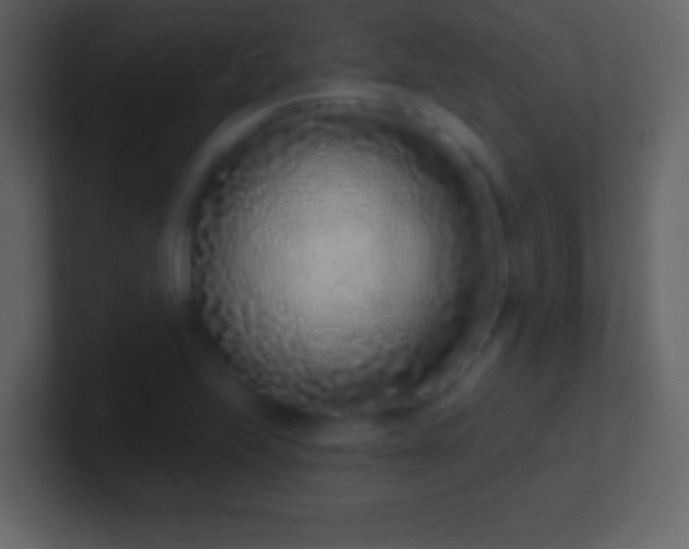 X0000101421223200807071309