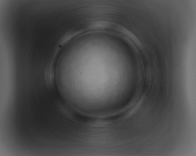 X0000101421226200807071309