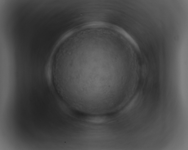 X0000101421229200807071309