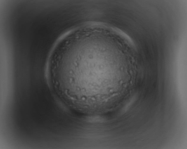X0000101421231200807071309