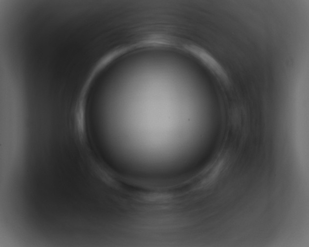 X0000101421238200807071309