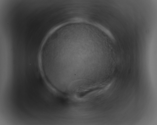 X0000101421239200807071309