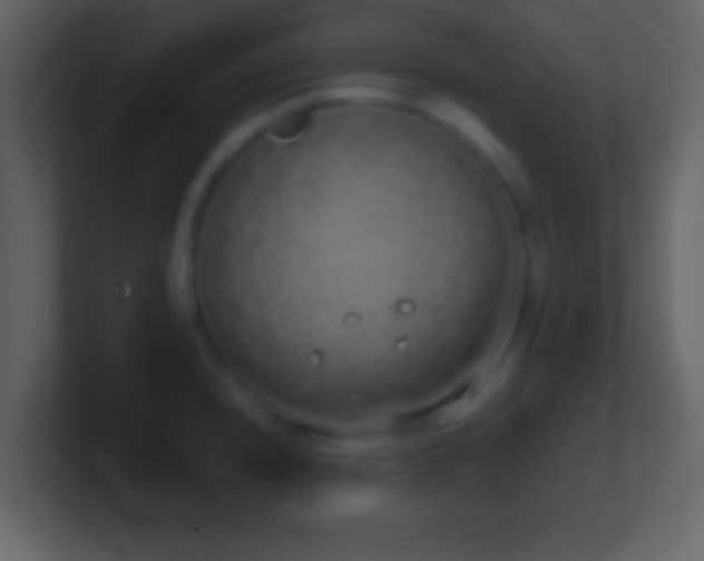 X0000101421240200807071309