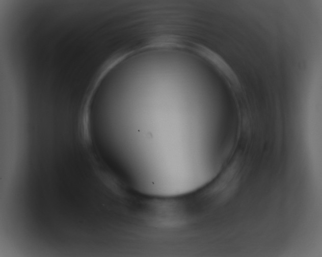 X0000101421242200807071309