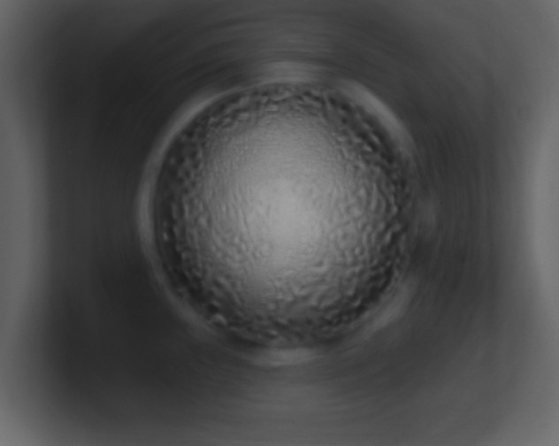X0000101421243200807071309