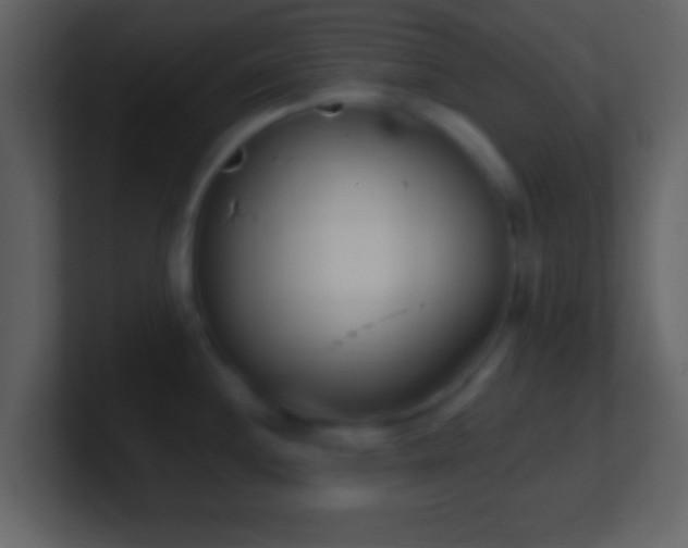 X0000101421244200807071309