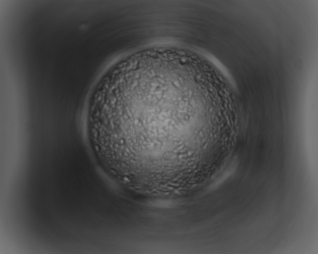 X0000101421245200807071309