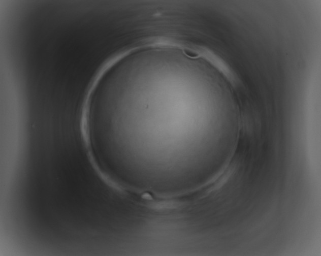X0000101421247200807071309