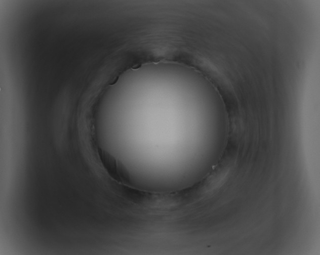 X0000101421249200807071308
